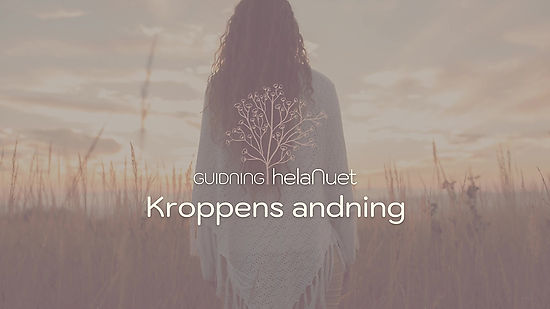 kroppens andning